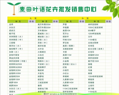 鮮花與花卉市場(chǎng)全品類(lèi)價(jià)目表解析 從優(yōu)惠到底價(jià)的選購(gòu)攻略