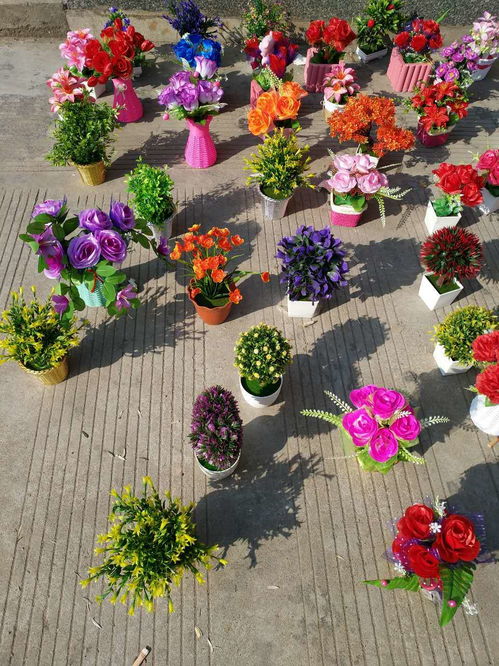 百花園工藝品花卉 年前小本創(chuàng)業(yè)的優(yōu)質(zhì)選擇——盆景種植項(xiàng)目深度解析