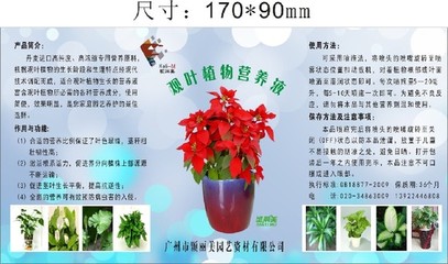 為什么室內(nèi)的綠植越長越黃？一瓶萬能“營養(yǎng)液”拯救你的小盆栽
